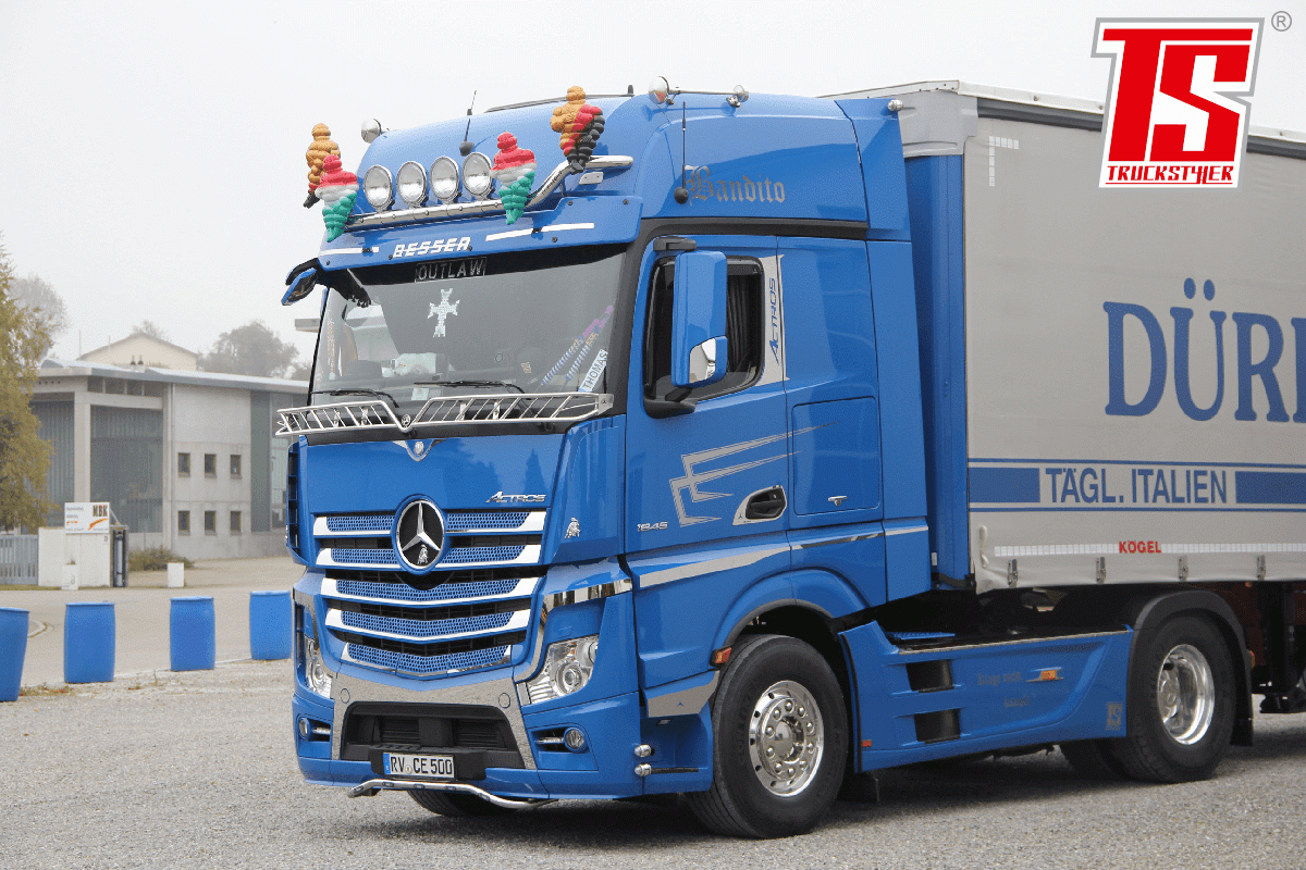 Fågelnät Ribbor passande Mercedes