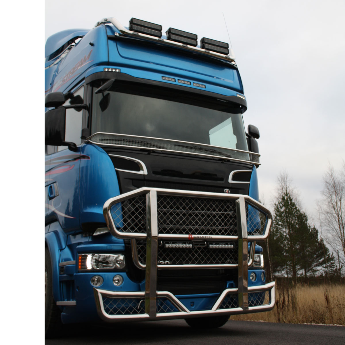 Fågelnät V1.0 passande Scania R-Serie
